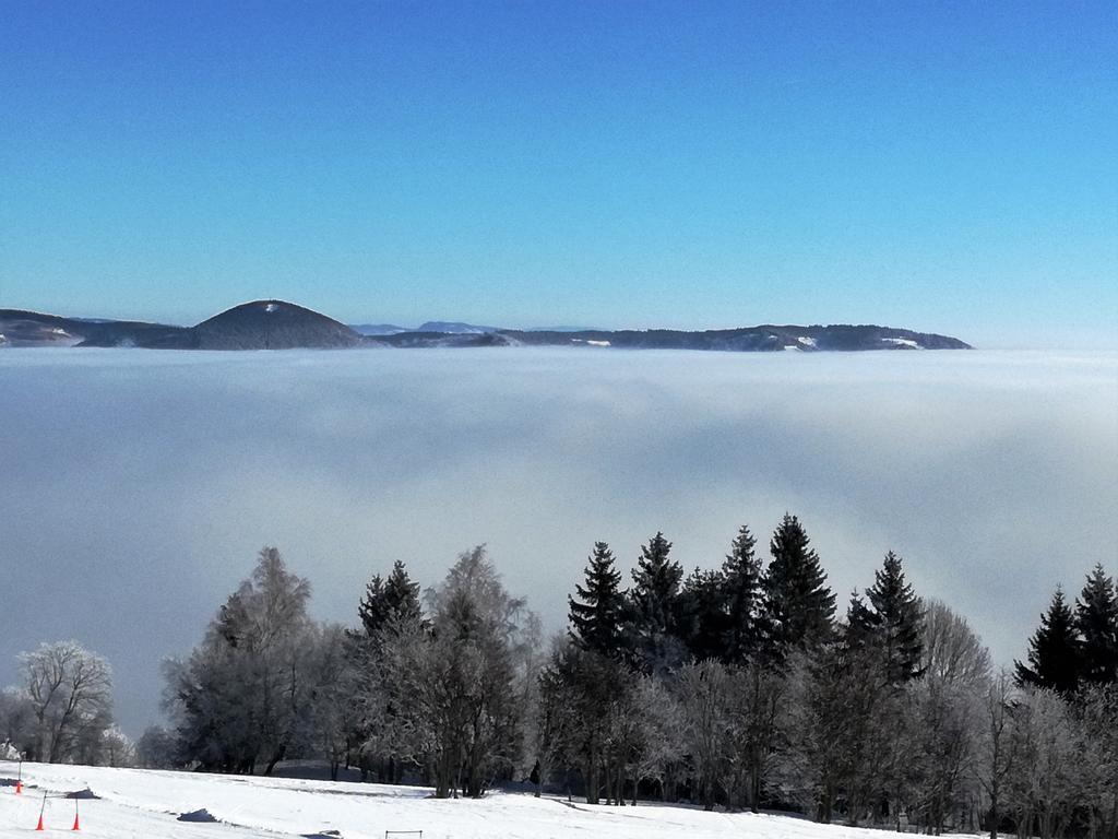 Pension Žacléřský Medvěd Esterno foto