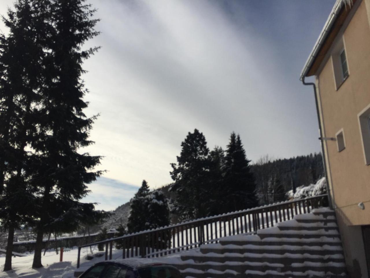 Pension Žacléřský Medvěd Esterno foto
